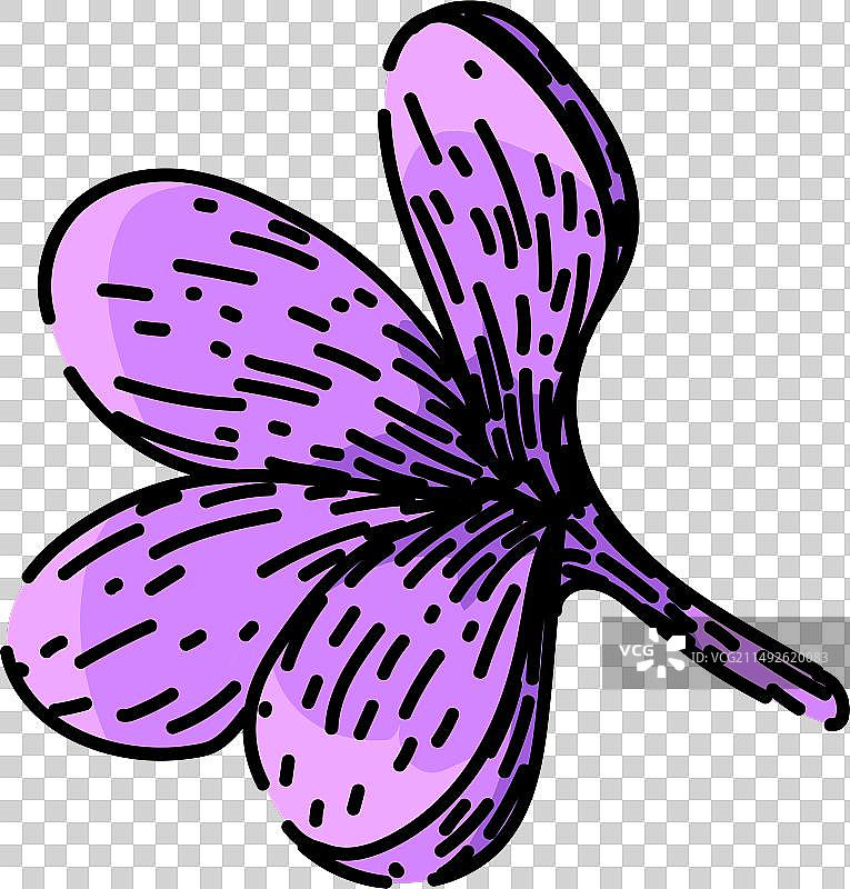 花紫丁香素描手绘图片素材