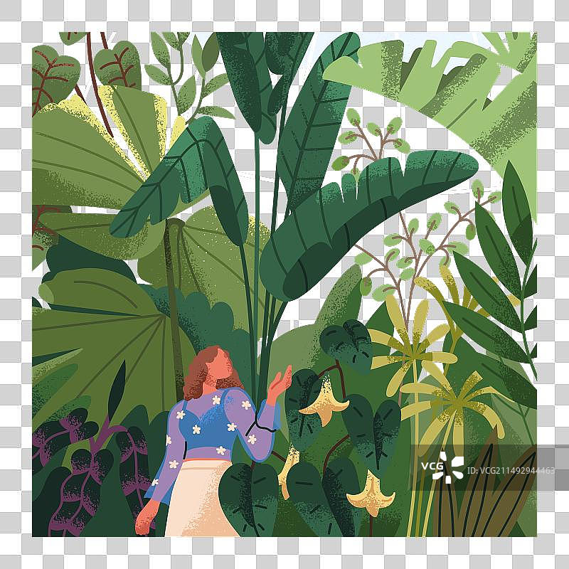 一个女人走在植物丛中图片素材