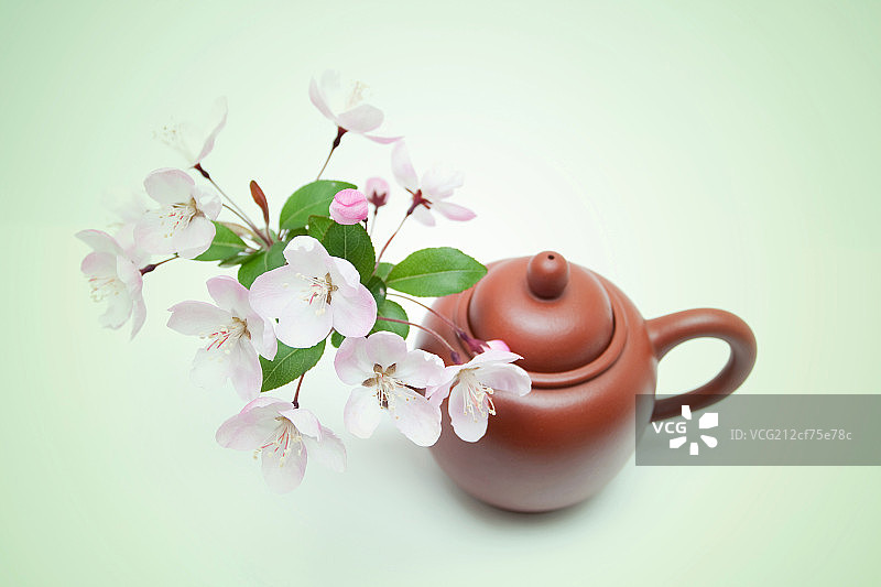 桃花和茶壶图片素材