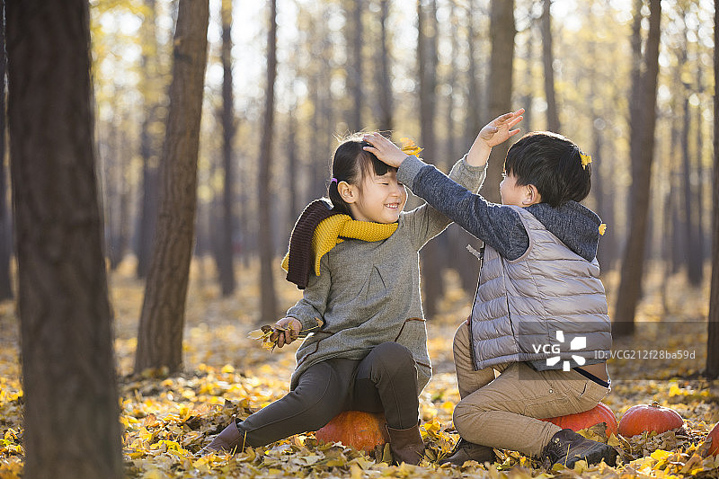 两个小孩在秋日的树林里玩树叶图片素材