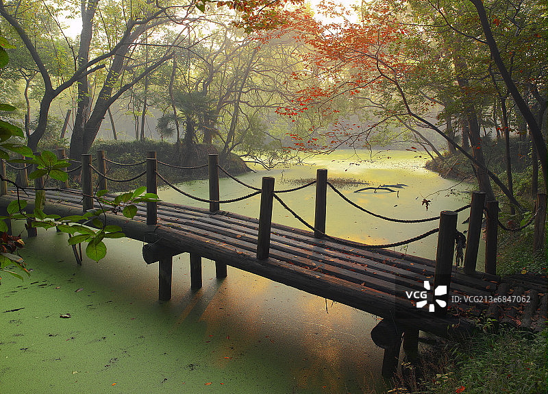 上海田园风光园林秋色图片素材