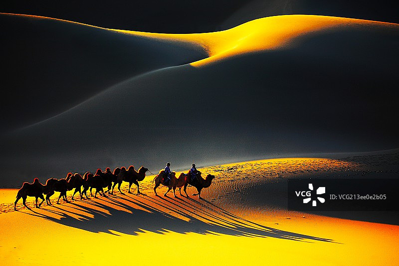内蒙古额济纳旗巴丹吉林沙漠驼队图片素材