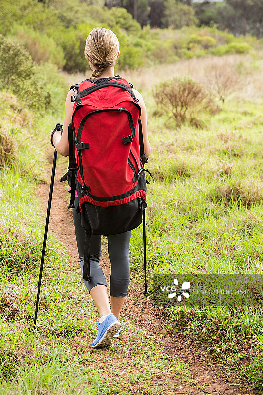 金发徒步旅行者拿着登山杖在大自然中徒步旅行图片素材