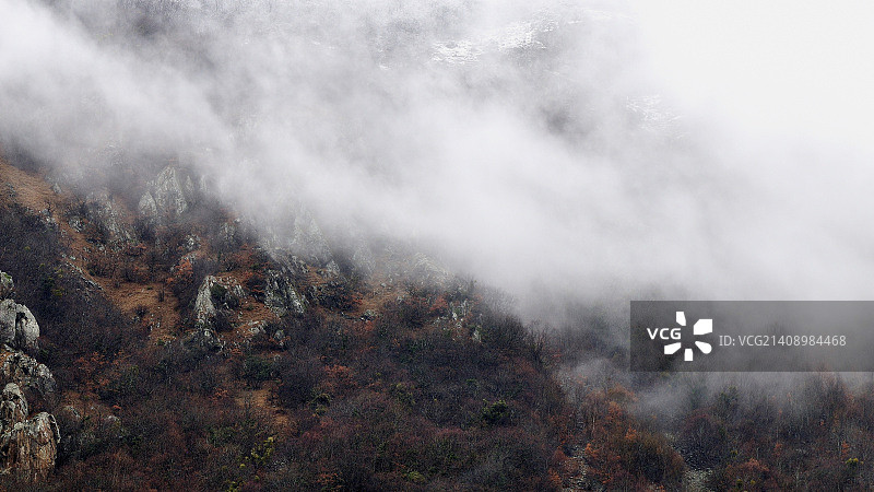 瑞士阿尔卑斯山的大雾天图片素材