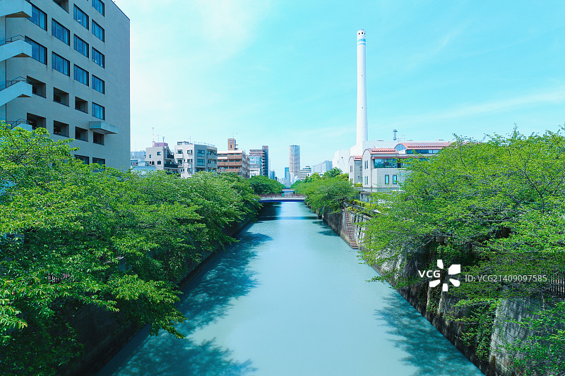 日本东京目黑河边的新鲜绿色图片素材