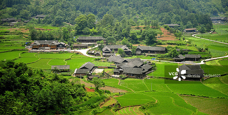 南方稻田间的小村庄图片素材