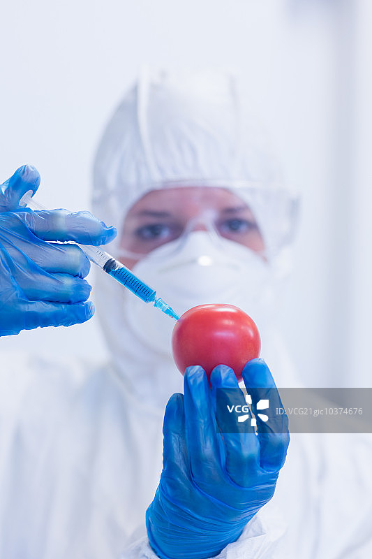 一个身着防护服的研究人员在实验室注射西红柿的特写图片素材