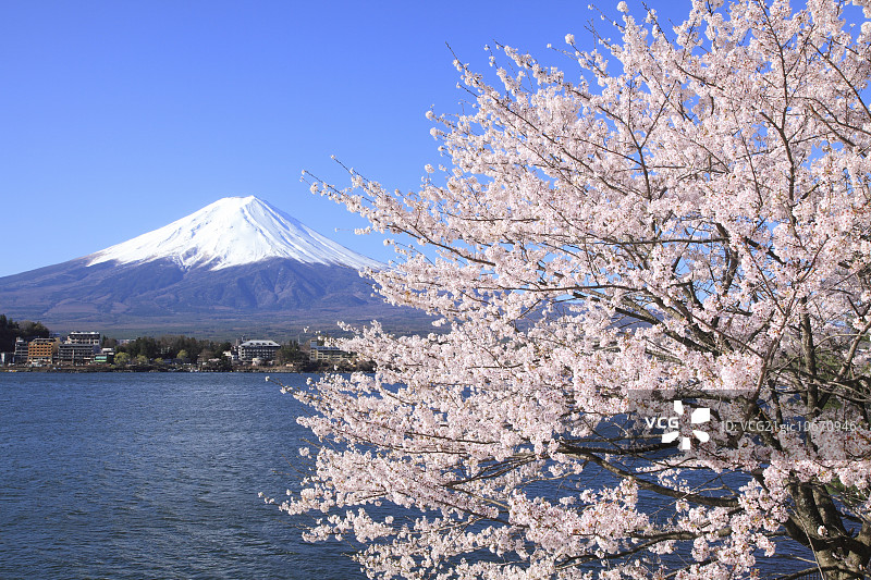 富士山一览图片素材
