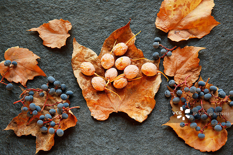 蓝莓和银杏果图片素材