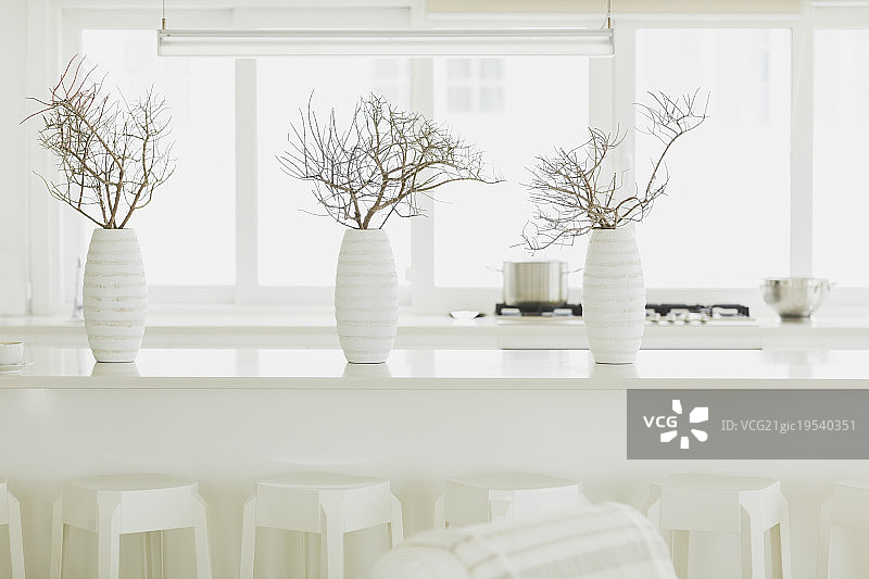 配有白色花瓶和树枝的现代白色餐桌图片素材