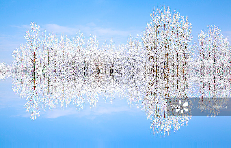 覆盖着厚厚的白雪的湖边风景图片素材