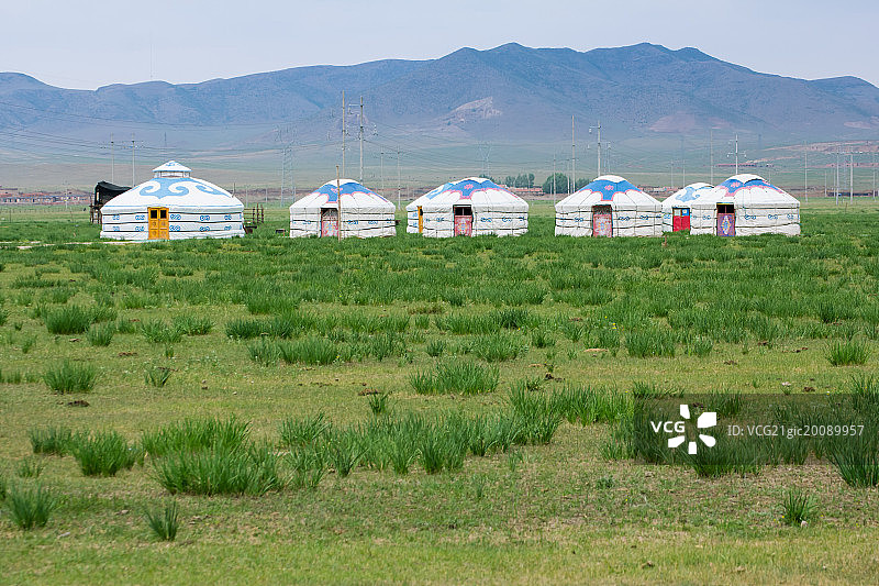 草原上的蒙古包图片素材