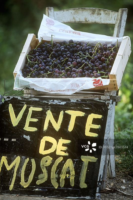 麝香葡萄在一个不寻常的摊位，法国图片素材