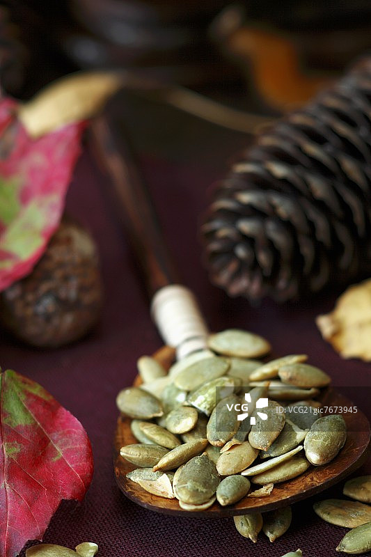 南瓜子木勺;秋叶和松果图片素材