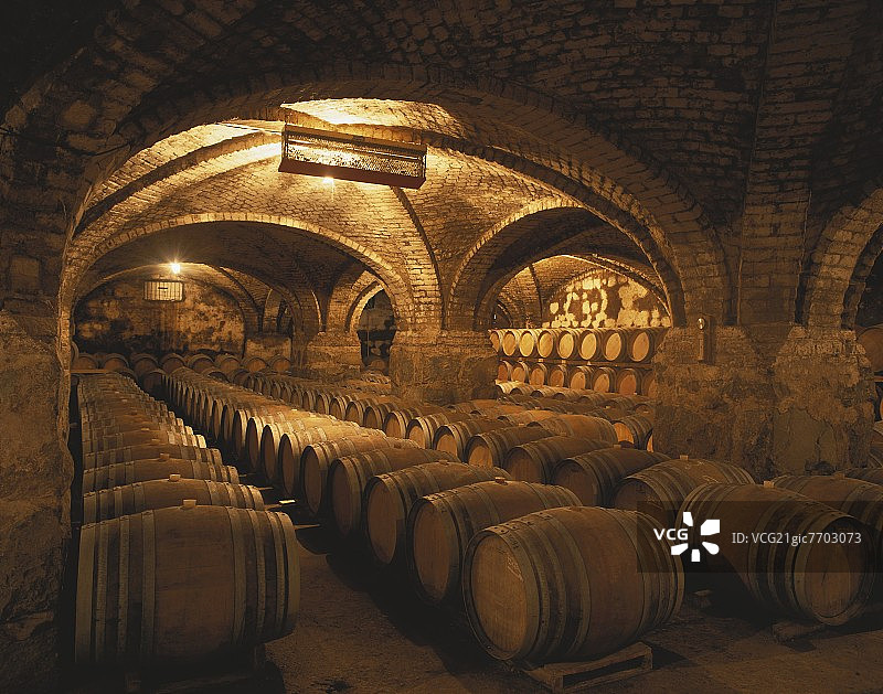 Vi帽a San Pedro wine cellar, Lontu茅, Valle de Curico, Chile图片素材
