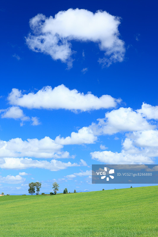 麦田和云朵，北海道图片素材