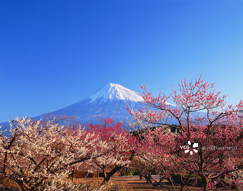 日本富士山的景色图片素材