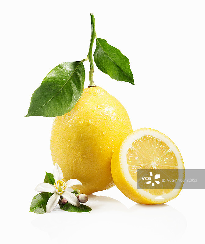 梅耶柠檬与叶和花图片素材