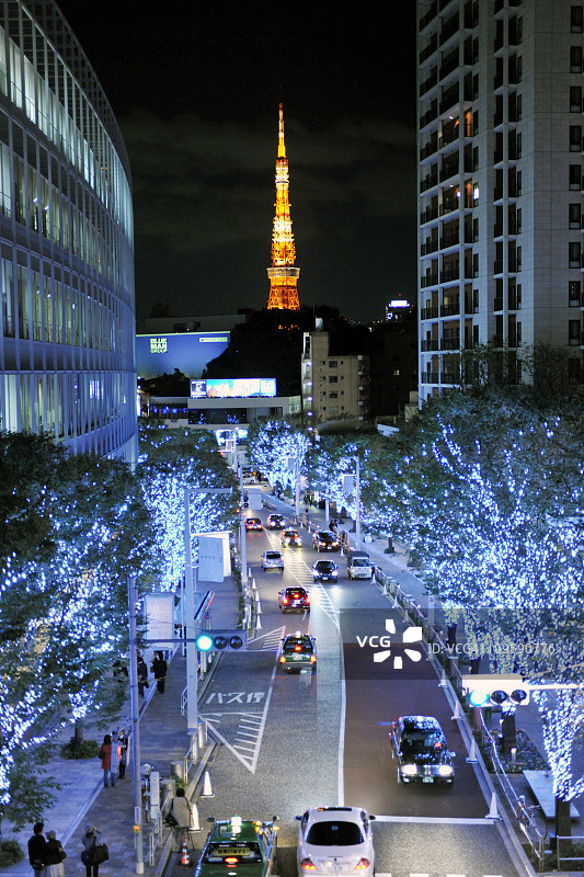 日本本州东京都六本木被照亮的树图片素材