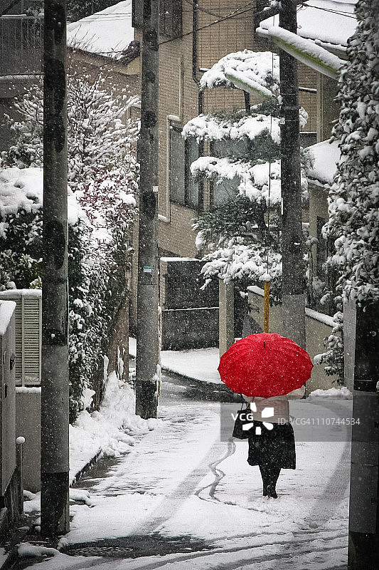 在东京的降雪图片素材