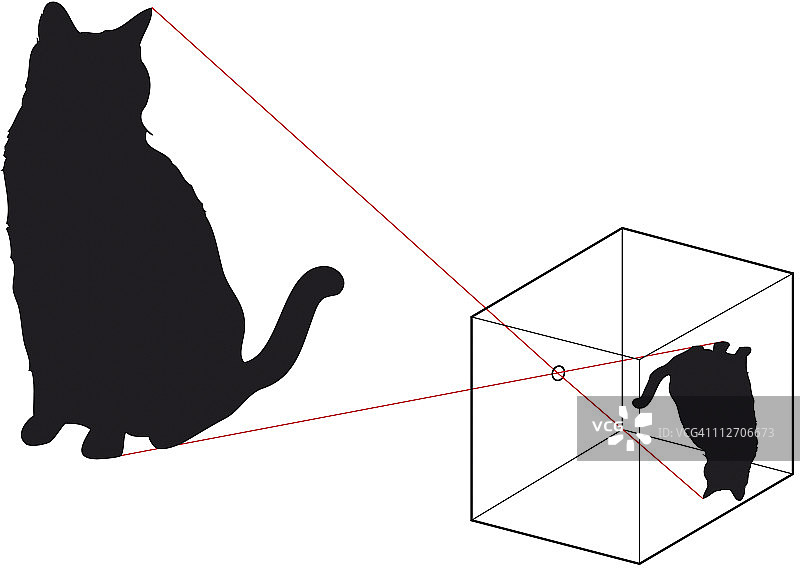 黑猫的数字插图和如何在针孔相机中出现倒置的图像图片素材