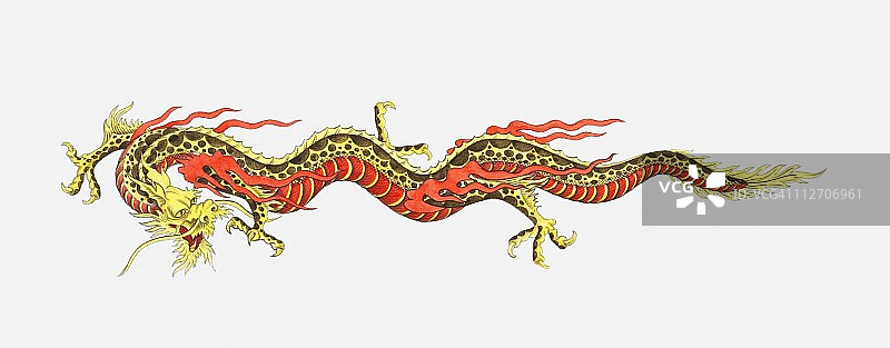 中国龙的插画图片素材