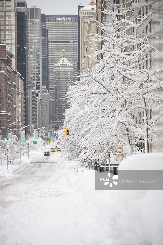 美国，纽约市，冬天的公园大道图片素材