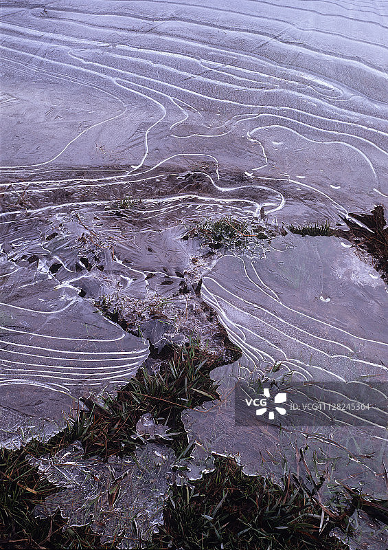 澳大利亚塔斯马尼亚岛摇篮山国家公园湿地上的冰模式。图片素材