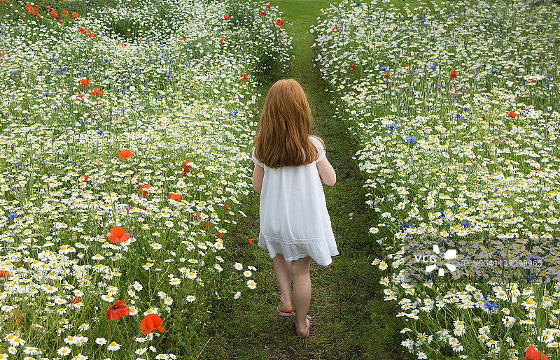 女孩走在花丛中图片素材