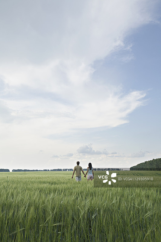 一个男人和一个女人手牵手穿过一个遥远的田野图片素材