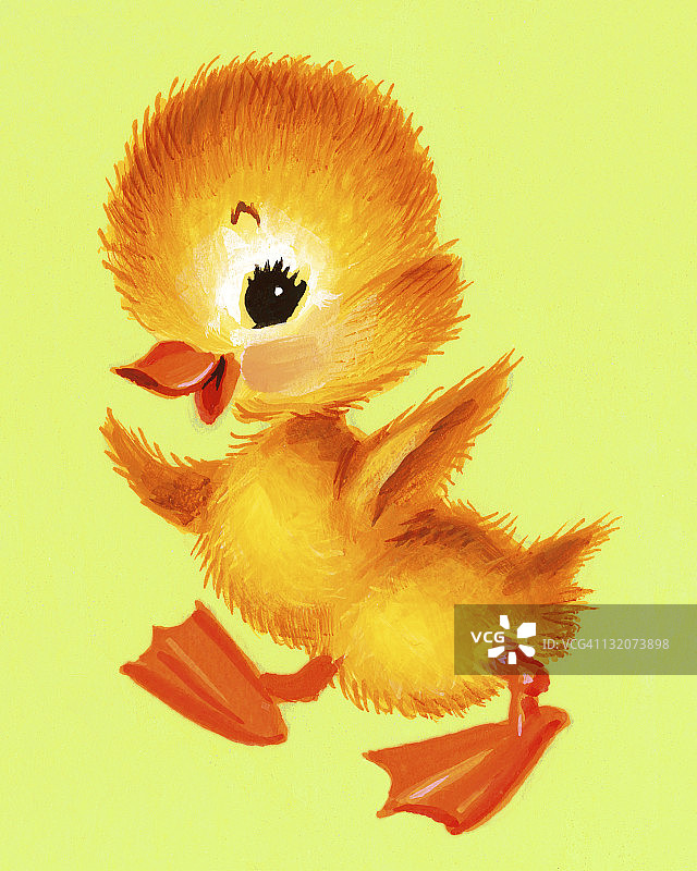 黄色的鸭子在绿色的背景图片素材