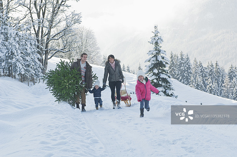 奥地利，萨尔茨堡，弗拉肖，一家人在雪地里扛着圣诞树和雪橇图片素材