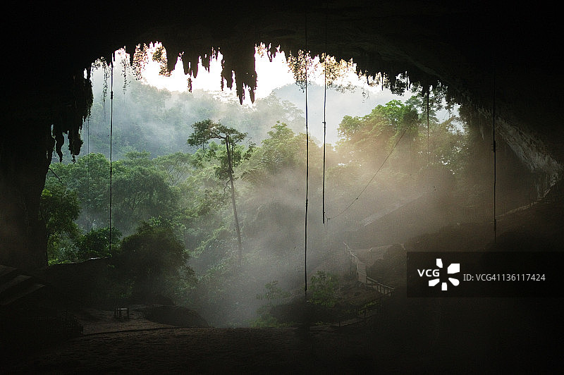 雨林中的天然洞穴图片素材