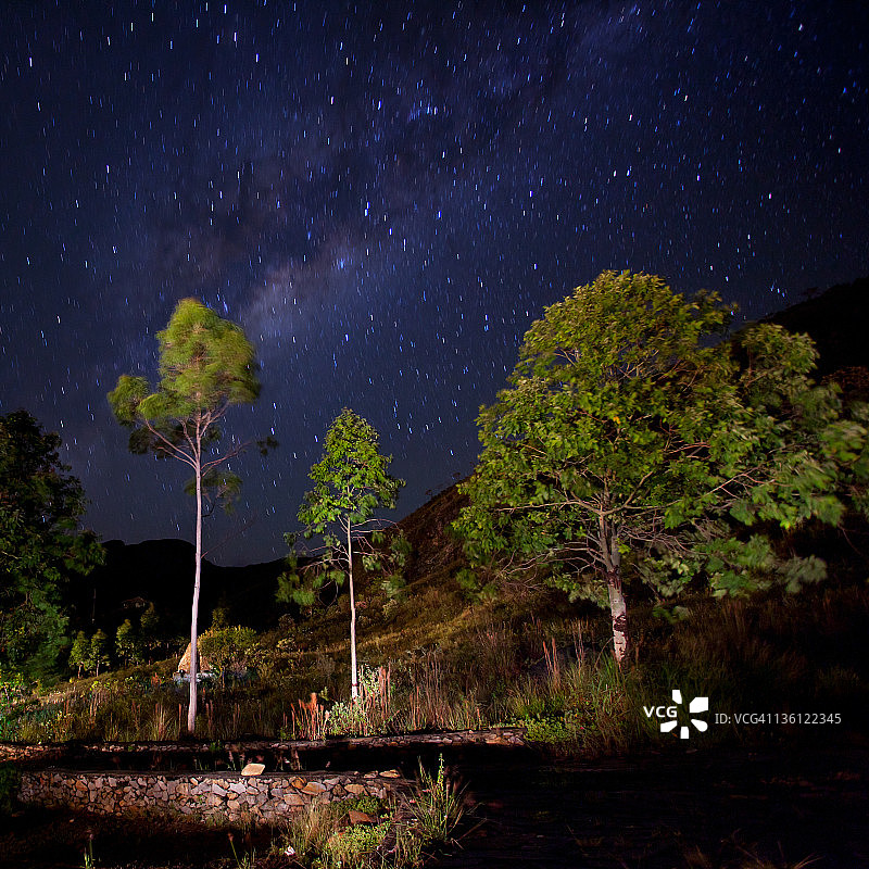 夜景与树木和银河图片素材