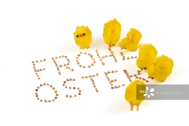 复活节小鸡选择“Frohe ostern”这个词图片素材
