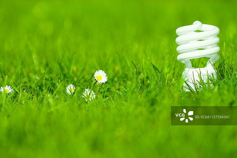 绿色能源-灯泡图片素材