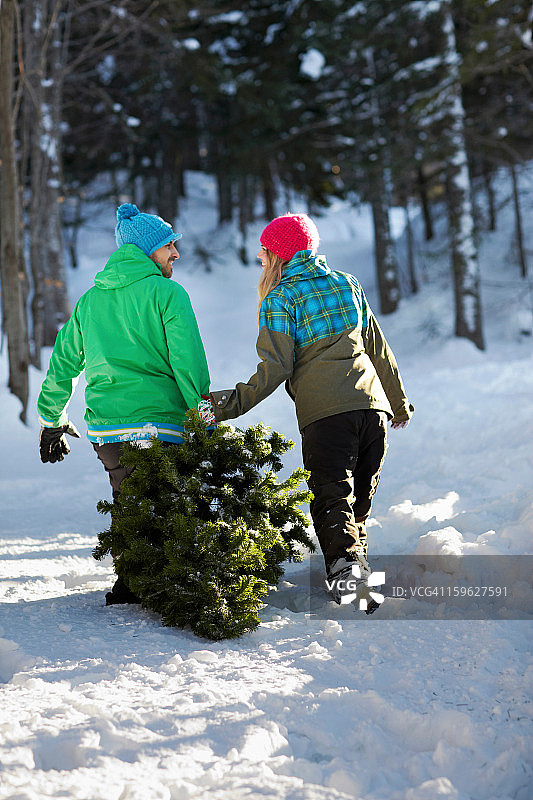 一对夫妇在雪中拖着圣诞树图片素材