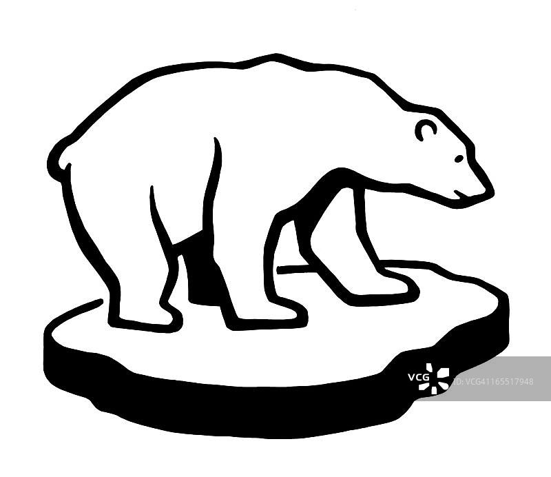 北极熊在一块冰上图片素材
