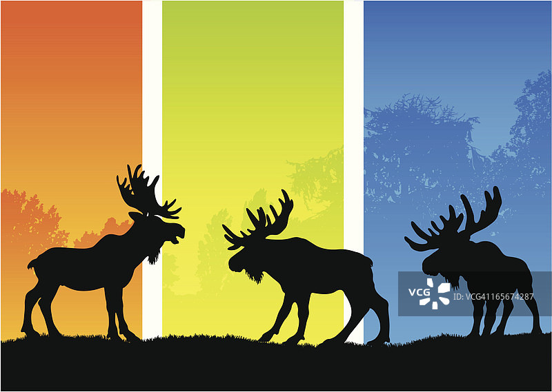 驼鹿在季节性景观中剪影图片素材