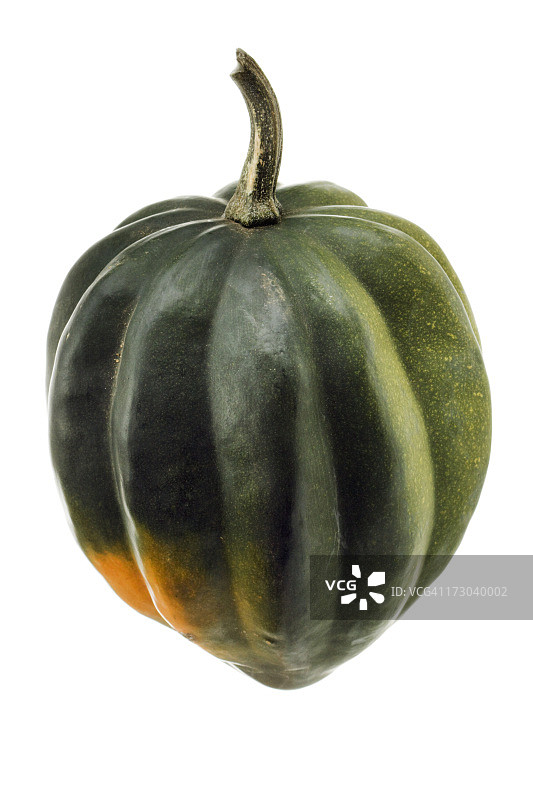 南瓜，一种生的，新鲜的，绿色的秋天蔬菜，在白色图片素材
