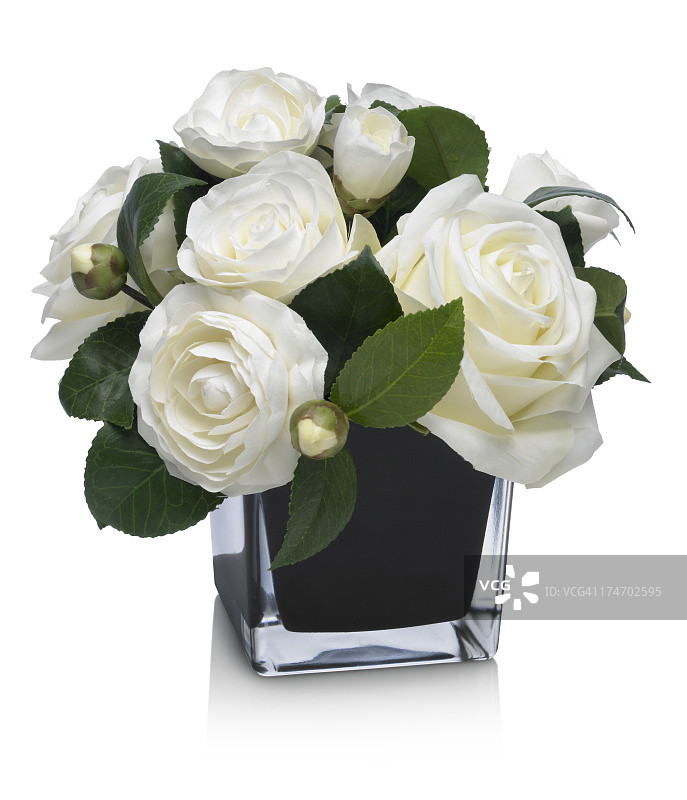 戏剧性的玫瑰和山茶花束在白色的背景图片素材