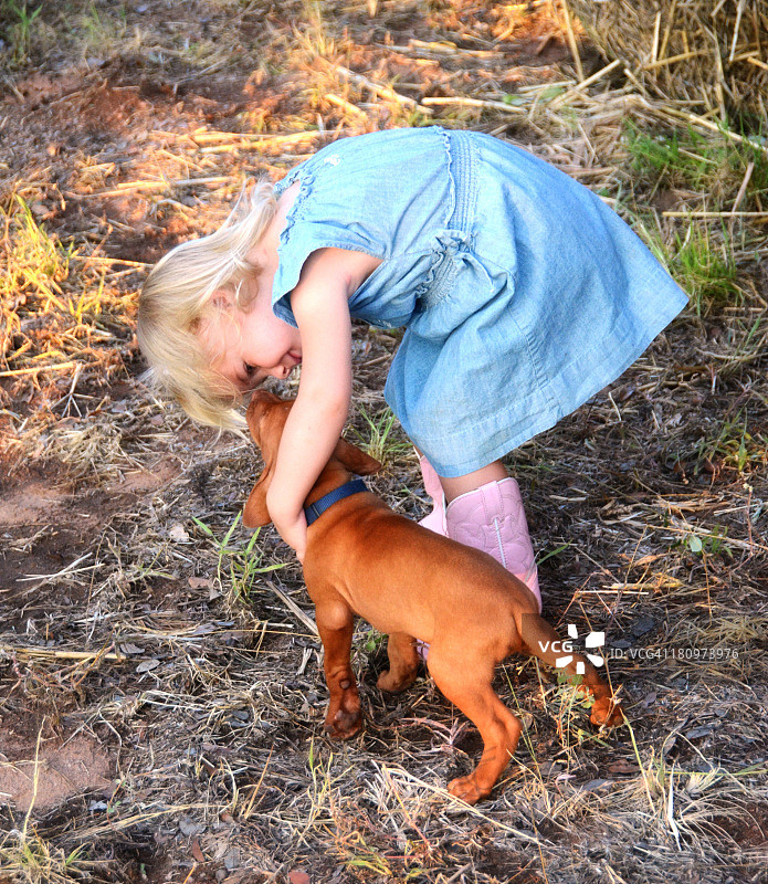 乡村女孩和Vizsla小狗图片素材