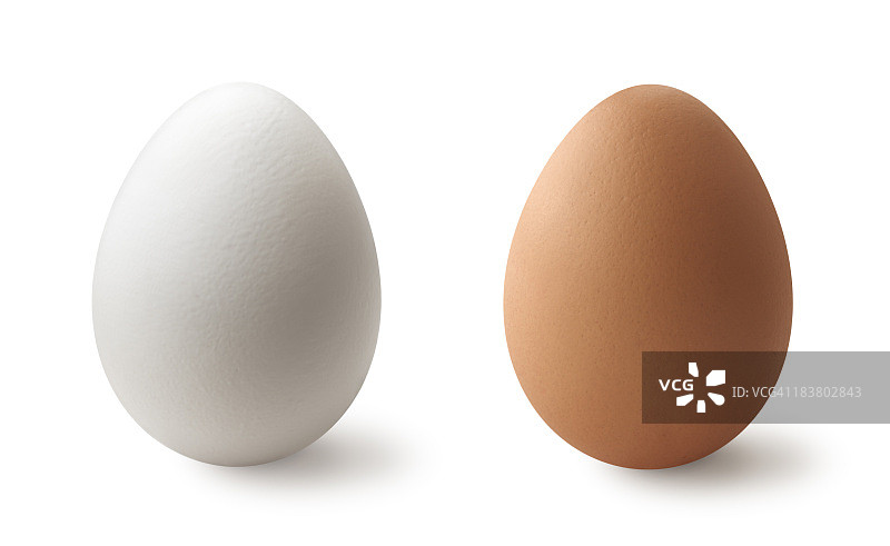白色和棕色的鸡蛋图片素材