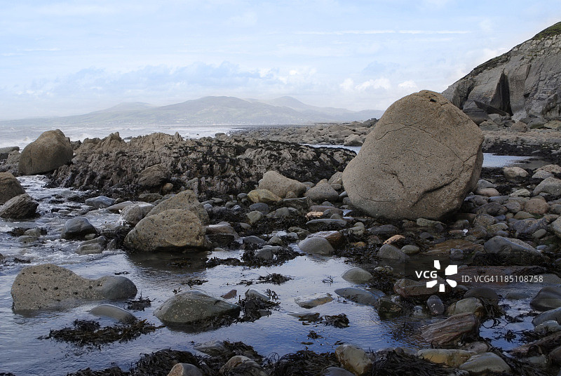 退潮时威尔士海岸的岩石池塘和海藻图片素材