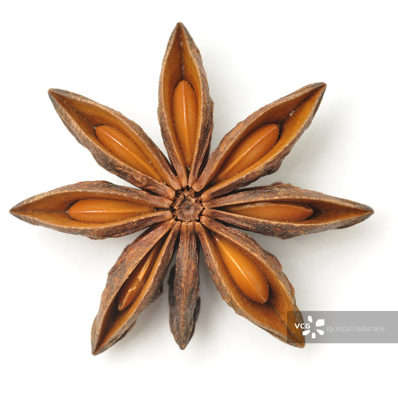 八角茴香豆荚图片素材
