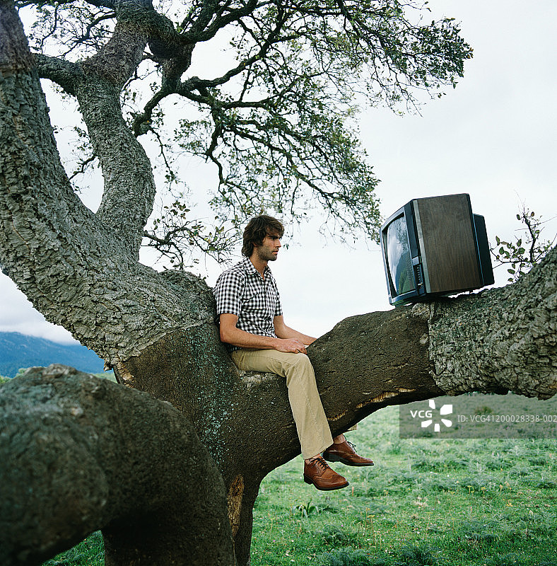 年轻人坐在树上看电视图片素材