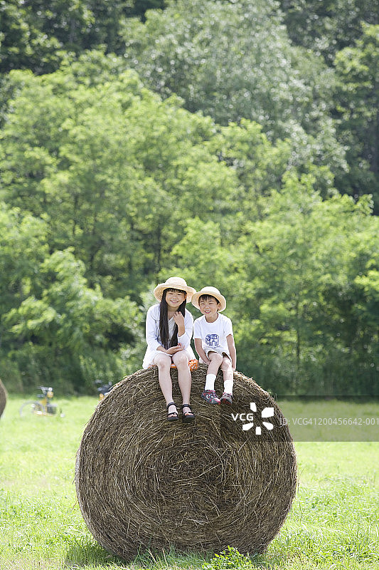 男孩和女孩(6-8)坐在干草捆上，肖像图片素材