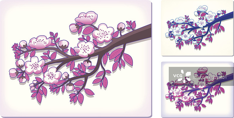 装饰性开花樱桃(3种颜色)。图片素材