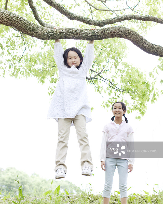 挂在树枝上的女孩图片素材