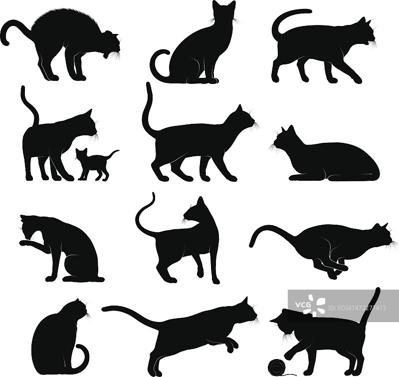 猫的轮廓图片素材